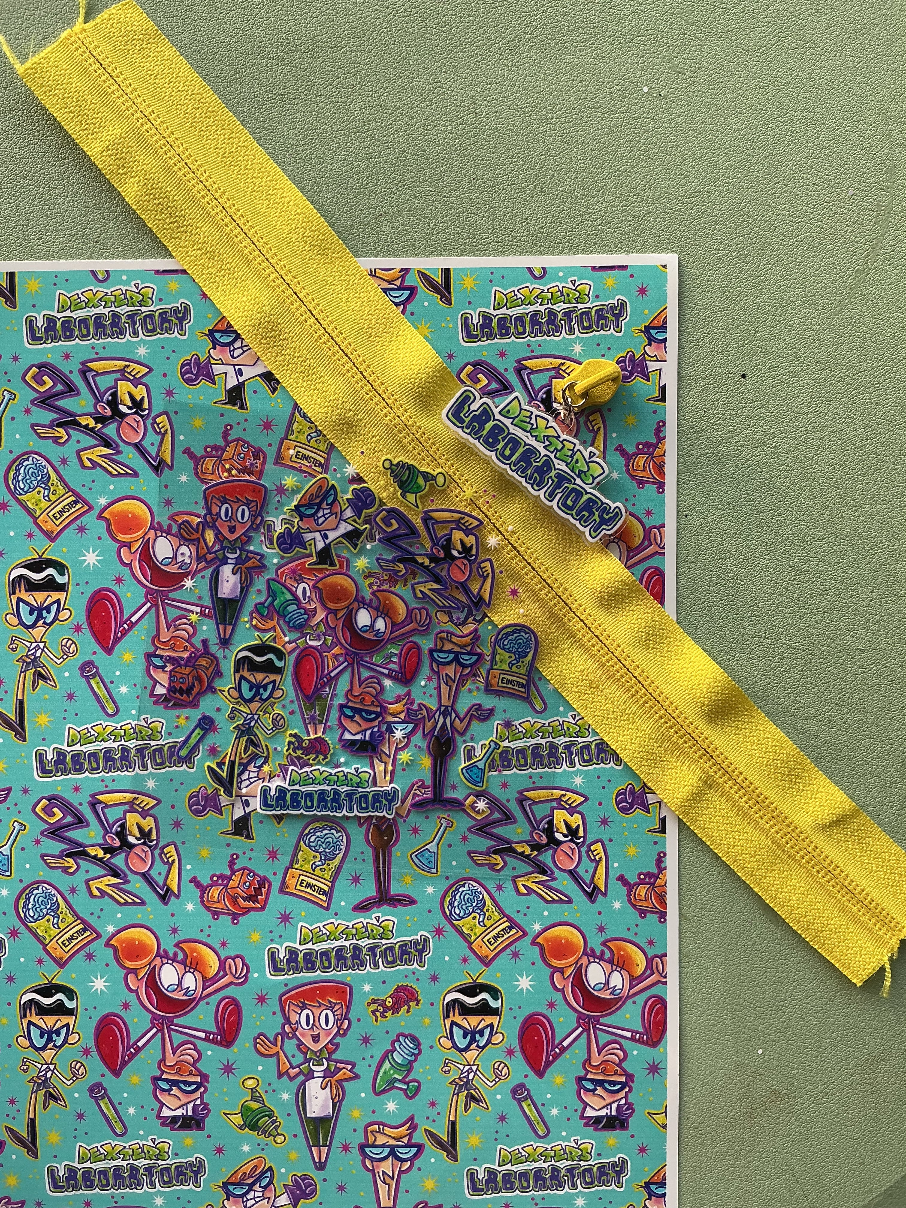 Zipper Dexters Lab