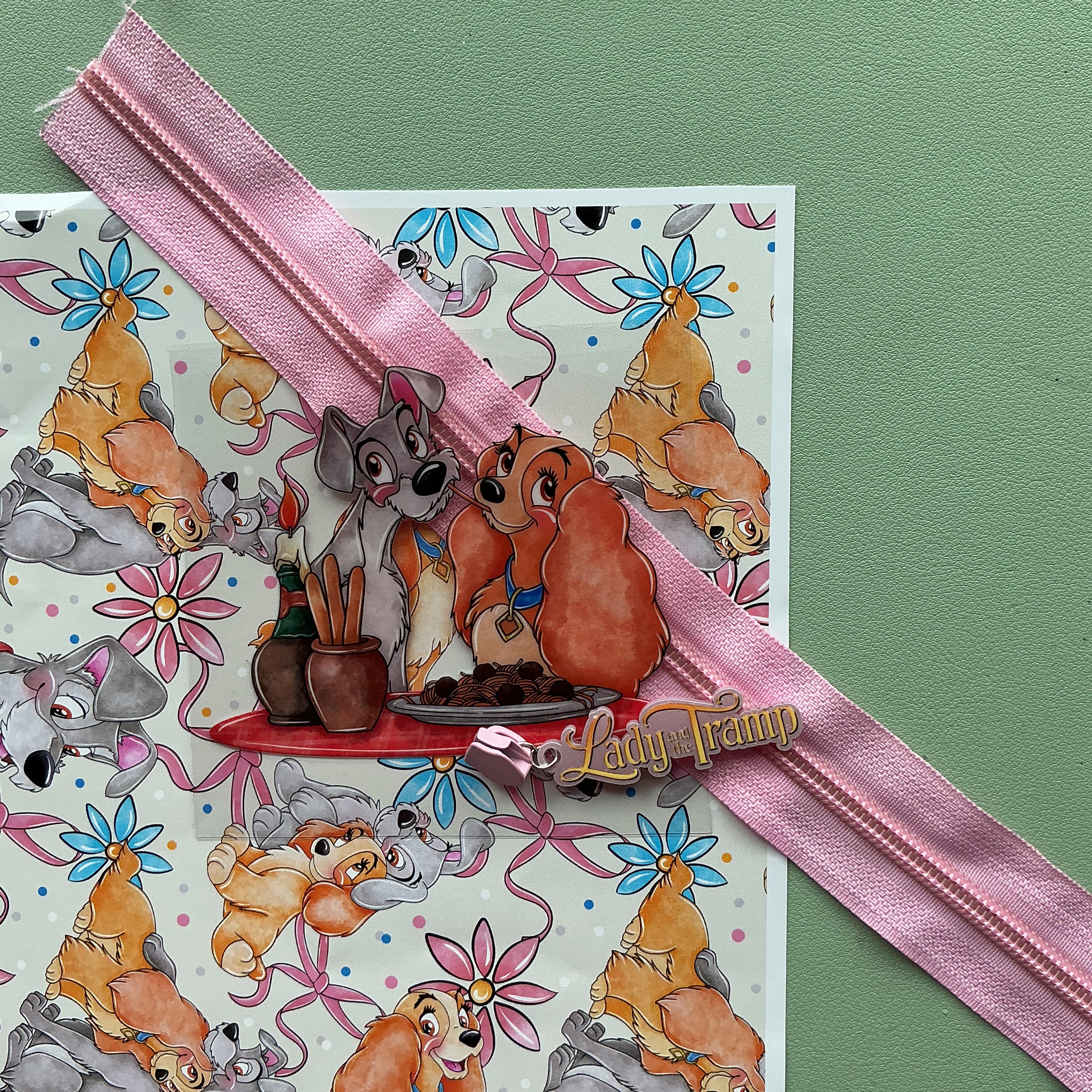 Zipper Lady and the Tramp