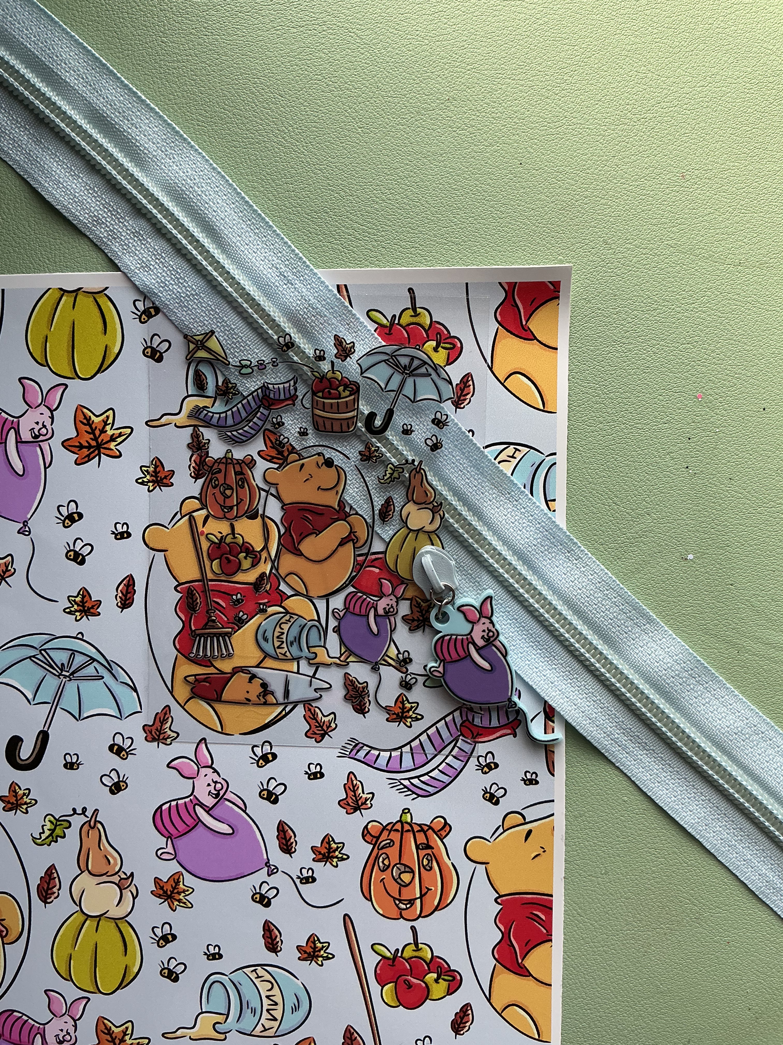 Zipper Winnie the Pooh
